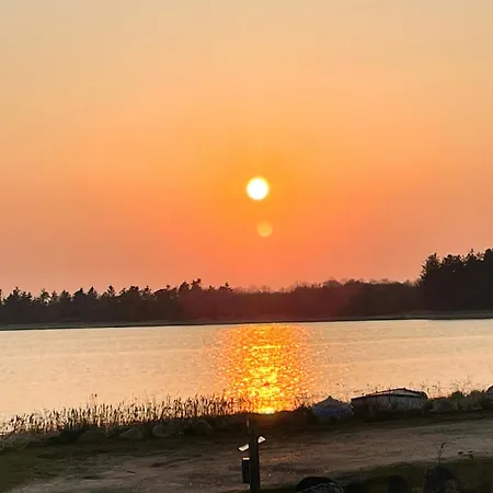 Stunning Sunrises Over Harre Vig * Roslev